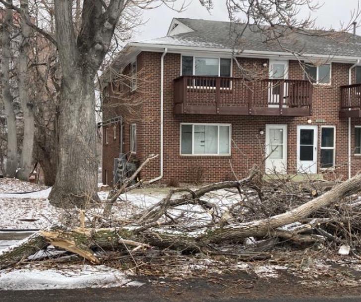 downed tree limbs in front of a home in Boulder