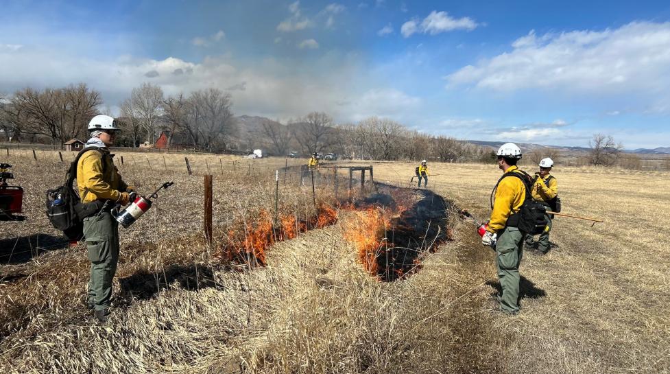 City to conduct a prescribed burn today north of Coot Lake
